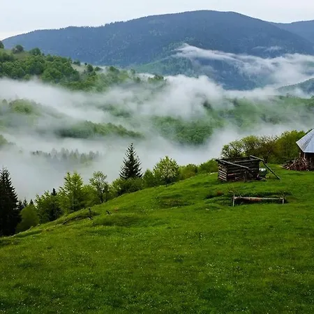 Casa Maria Valea Draganului Homestay *
