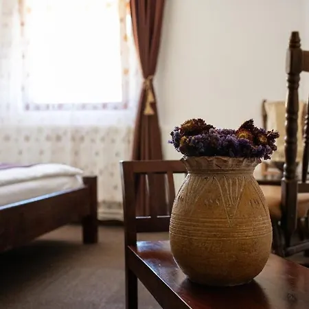 Casa Maria Valea Draganului Homestay Lunca Visagului